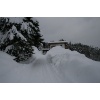 IMG 9932